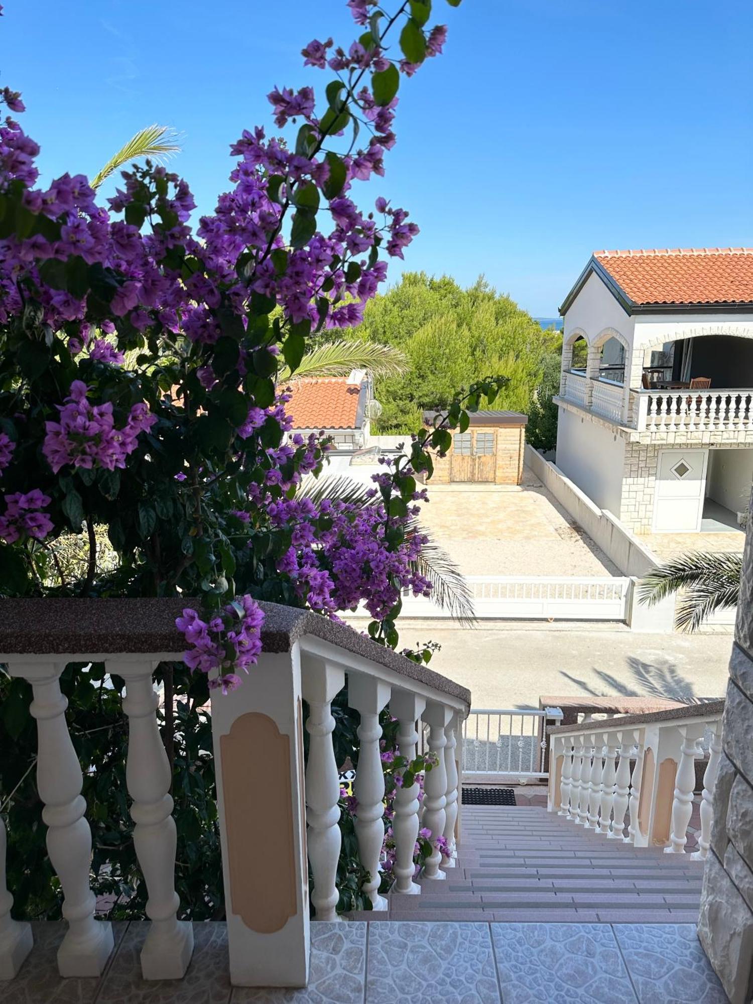 Apartmani Bermanec Vir Dış mekan fotoğraf